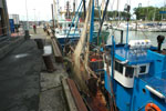 2009-07-23 12-50-51 2009-07-23 12-50-51