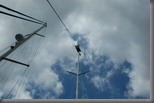 29-6-2010 12-49-47_0126