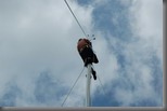 29-6-2010 12-49-51_0127