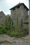 17-8-2010 15-23-16_0093