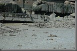 24-8-2010 16-00-38_0051