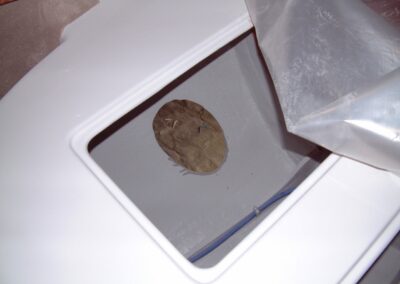 Inbouw van de boegschroef, foto 4 van 37