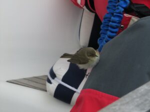 Vlieland naar Cuxhaven, foto 20 van 33