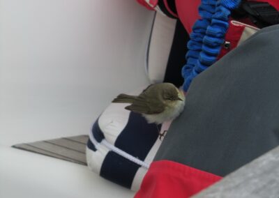 Vlieland naar Cuxhaven, foto 20 van 33