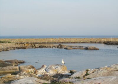 Ystad naar Utklippan, foto 20 van 25