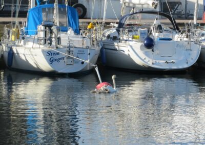 Kalmar naar Byxelkrok, foto 6 van 27