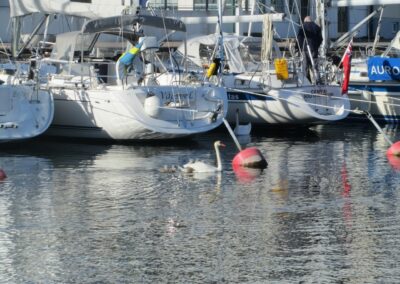 Kalmar naar Byxelkrok, foto 7 van 27