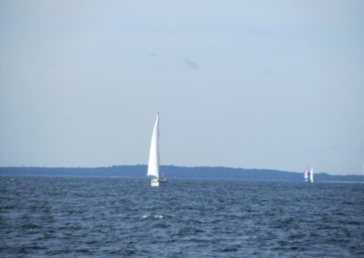 Lohusalu naar Tallinn, foto 1 van 42
