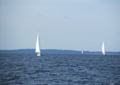 Lohusalu naar Tallinn, foto 2 van 42