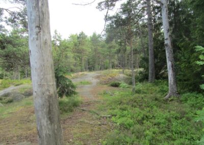 Helsinki naar Bockhamn, foto 13 van 34
