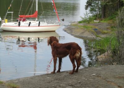 Helsinki naar Bockhamn, foto 18 van 34