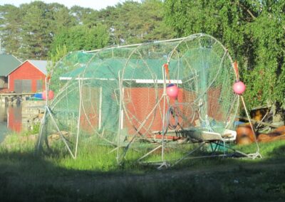 Bockhamn naar Kaunissaari en Pyttis Fagerö, foto 25 van 77