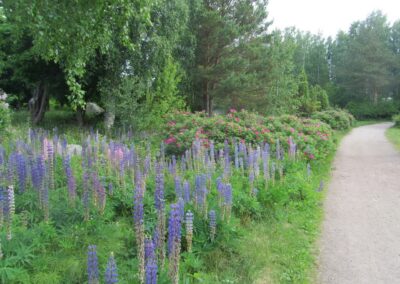 Bockhamn naar Kaunissaari en Pyttis Fagerö, foto 40 van 77