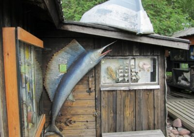 Bockhamn naar Kaunissaari en Pyttis Fagerö, foto 63 van 77