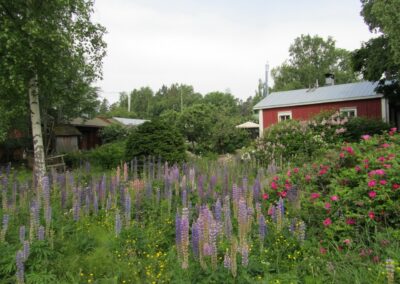 Bockhamn naar Kaunissaari en Pyttis Fagerö, foto 75 van 77