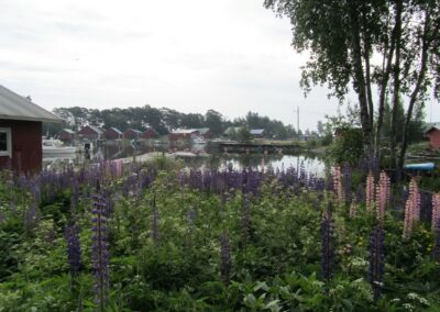 Bockhamn naar Kaunissaari en Pyttis Fagerö, foto 76 van 77